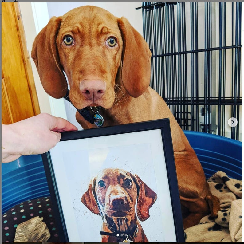Pet Art Print